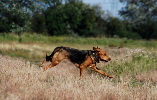 DSC_0763.JPG