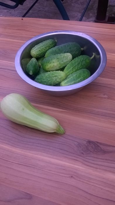 WP_20170724_15_12_56_Pro.jpg