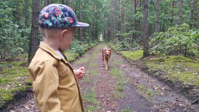 8923240_20170725_123948.jpg