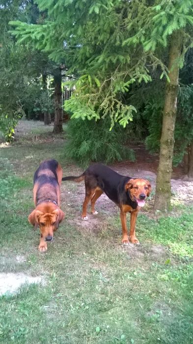 WP_20170720_18_52_50_Pro.jpg