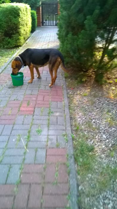 WP_20170720_19_01_11_Pro.jpg