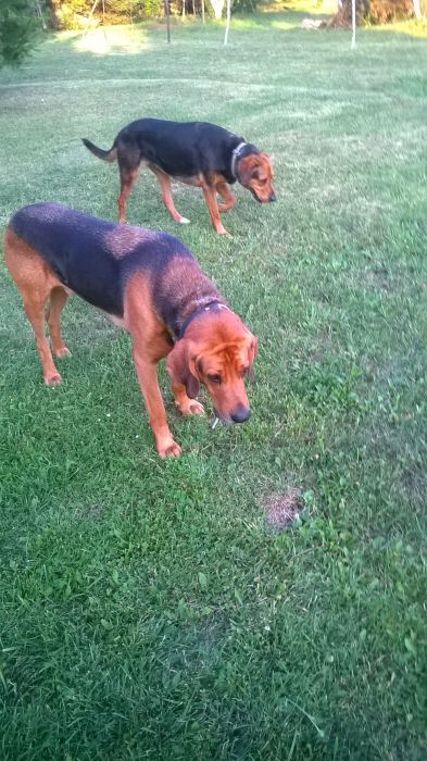 WP_20170721_19_37_24_Pro.jpg