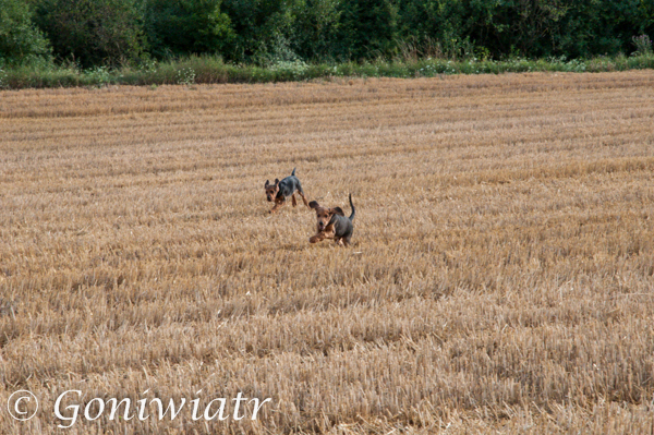 DSC_0775.jpg