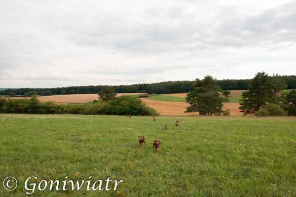 DSC_0676.jpg
