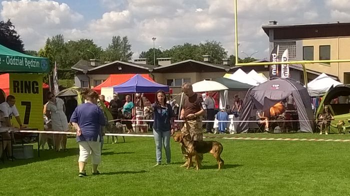 WP_20170729_13_38_37_Pro.jpg