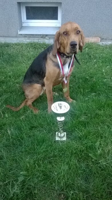 WP_20170729_19_59_48_Pro.jpg