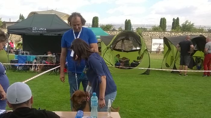 WP_20170729_13_19_45_Pro.jpg