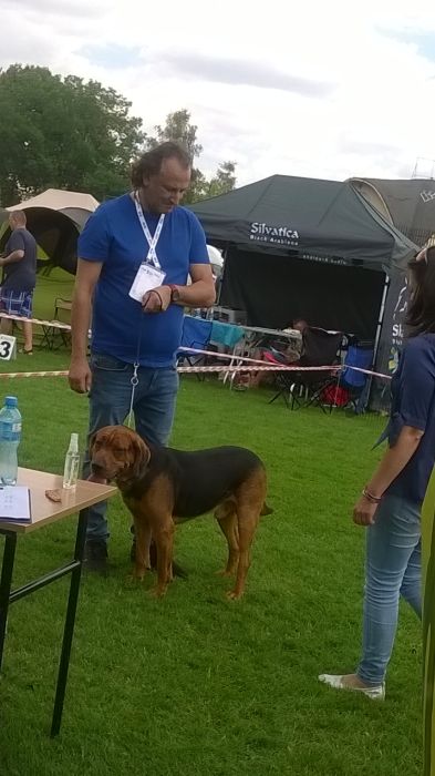WP_20170729_13_20_04_Pro.jpg
