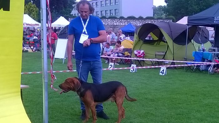 WP_20170729_13_20_21_Pro.jpg