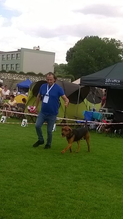 WP_20170729_13_20_53_Pro.jpg