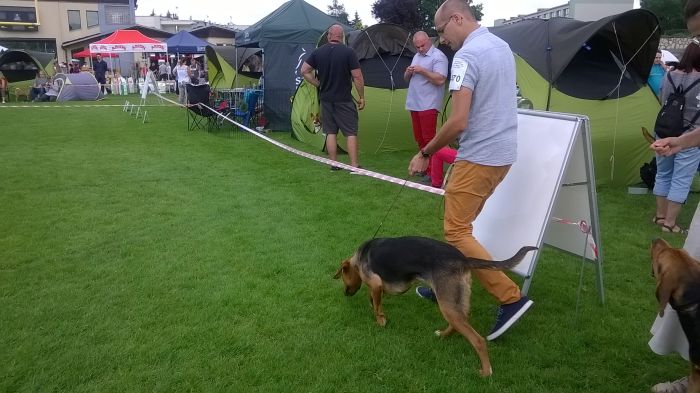 WP_20170729_13_23_14_Pro.jpg