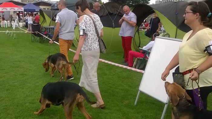 WP_20170729_13_23_16_Pro.jpg