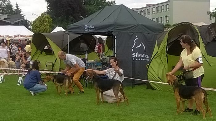 WP_20170729_13_23_48_Pro.jpg