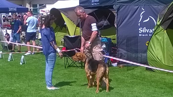 WP_20170729_13_37_27_Pro.jpg