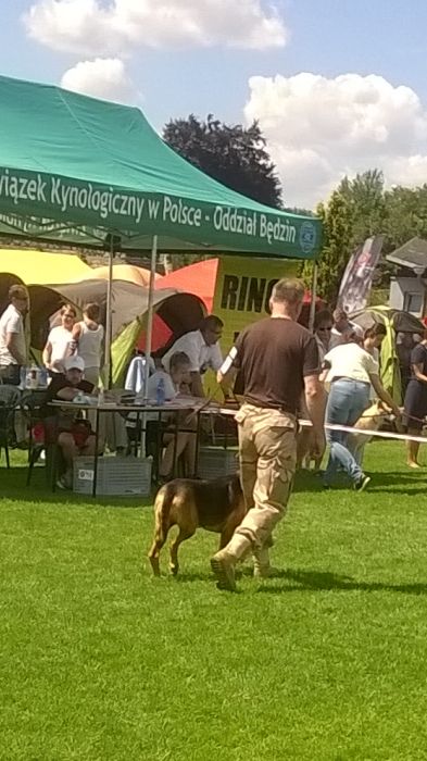 WP_20170729_13_38_52_Pro.jpg