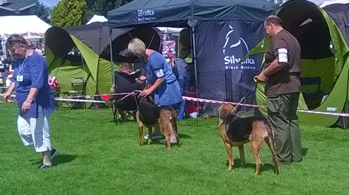 WP_20170729_13_42_49_Pro.jpg