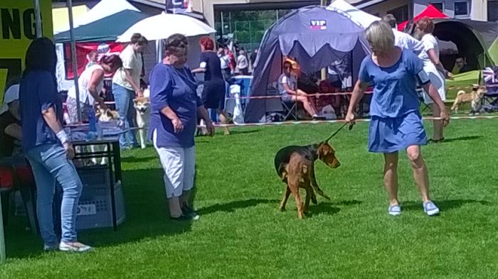 WP_20170729_13_43_00_Pro.jpg