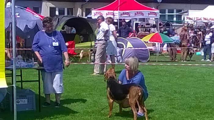 WP_20170729_13_43_12_Pro.jpg