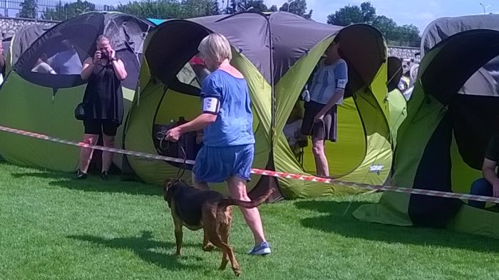 WP_20170729_13_44_26_Pro.jpg