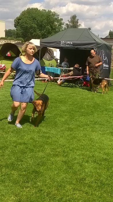 WP_20170729_13_44_31_Pro.jpg