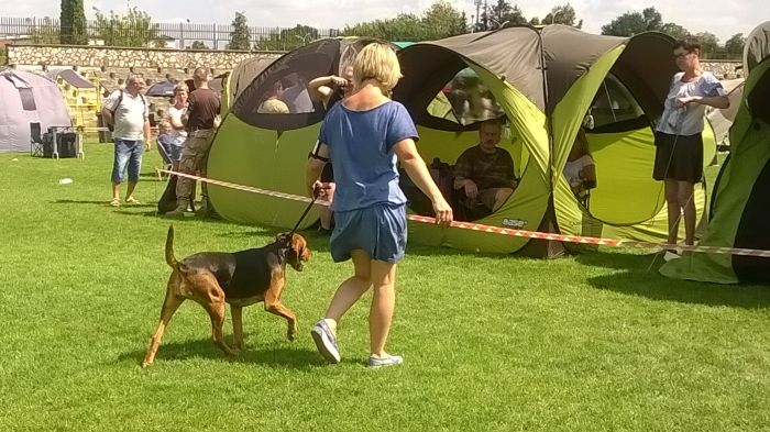 WP_20170729_13_44_52_Pro.jpg