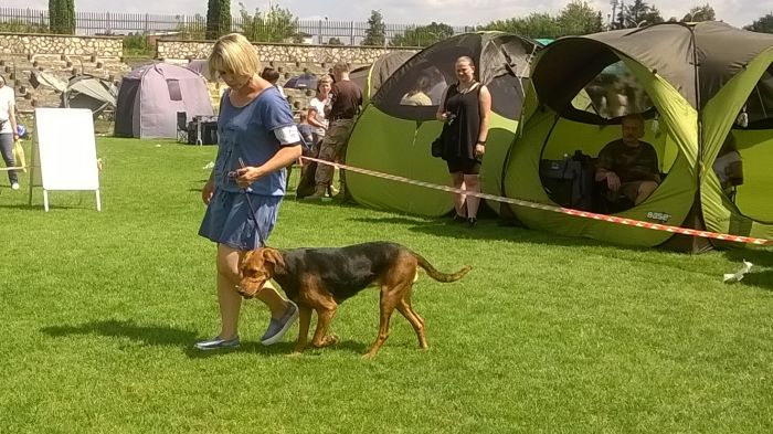 WP_20170729_13_44_56_Pro.jpg
