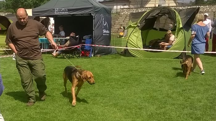 WP_20170729_13_45_20_Pro.jpg