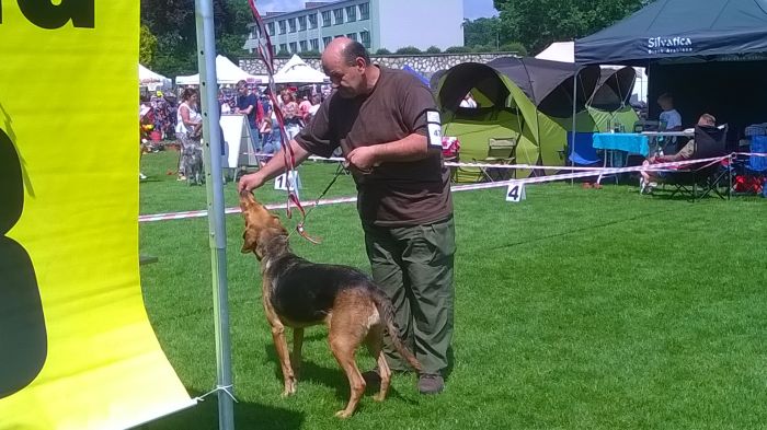 WP_20170729_13_45_25_Pro.jpg