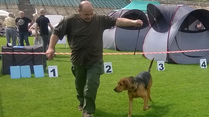WP_20170729_13_46_58_Pro.jpg