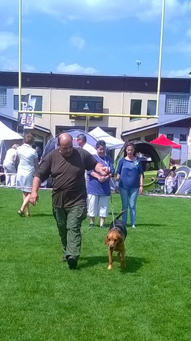 WP_20170729_13_47_22_Pro.jpg