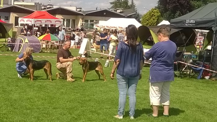 WP_20170729_13_50_11_Pro.jpg