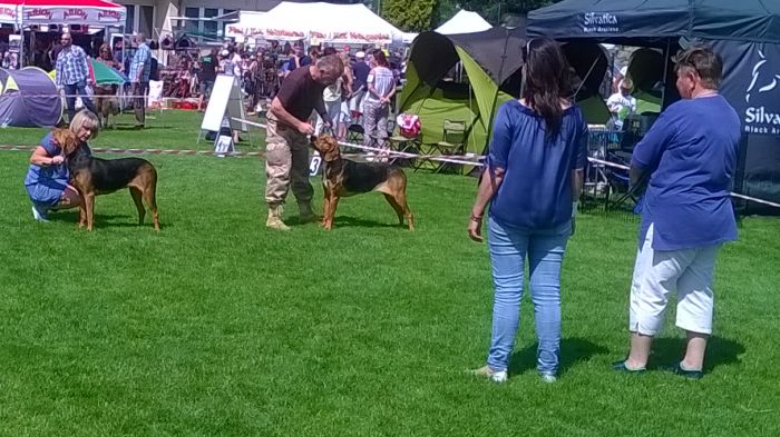 WP_20170729_13_50_28_Pro.jpg