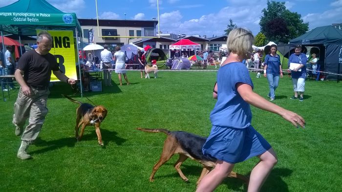 WP_20170729_13_50_55_Pro.jpg