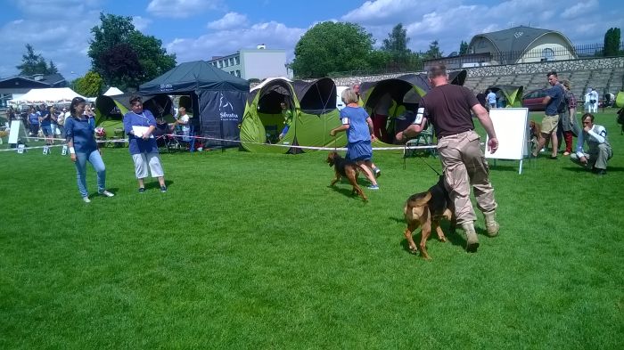 WP_20170729_13_50_57_Pro.jpg