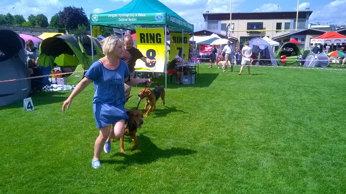 WP_20170729_13_51_03_Pro.jpg