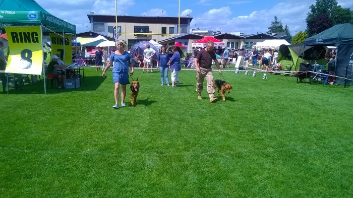 WP_20170729_13_51_17_Pro.jpg