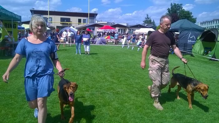 WP_20170729_13_51_19_Pro.jpg
