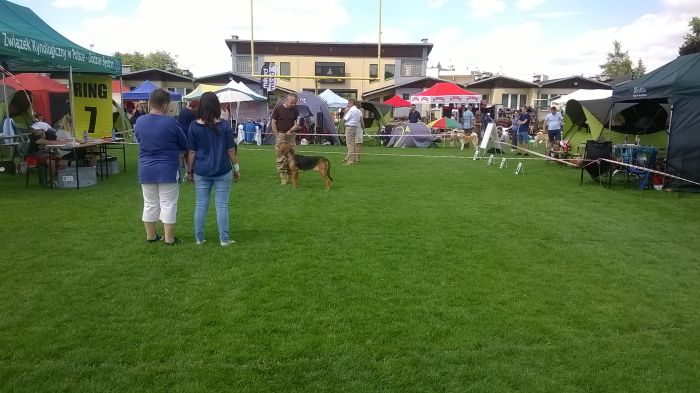 WP_20170729_13_51_46_Pro.jpg