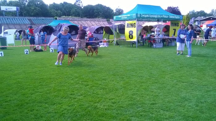 WP_20170729_13_52_39_Pro.jpg