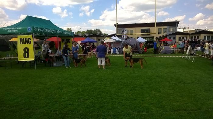 WP_20170729_13_53_42_Pro.jpg