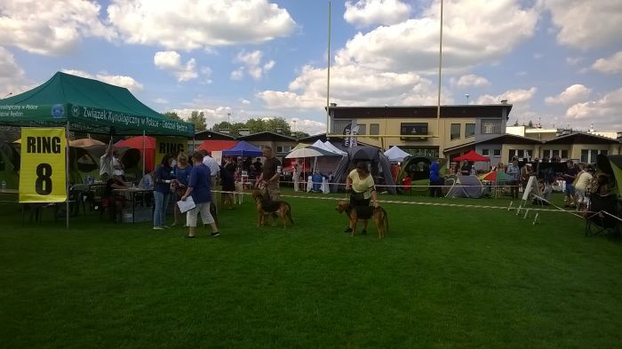 WP_20170729_13_53_51_Pro.jpg