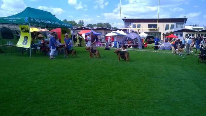 WP_20170729_13_54_05_Pro.jpg