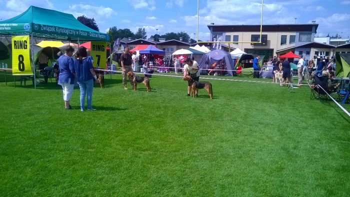 WP_20170729_13_54_34_Pro.jpg
