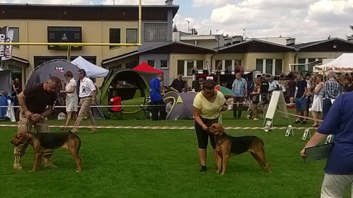 WP_20170729_13_54_56_Pro.jpg
