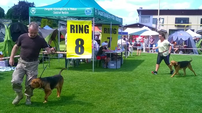 WP_20170729_13_55_09_Pro.jpg
