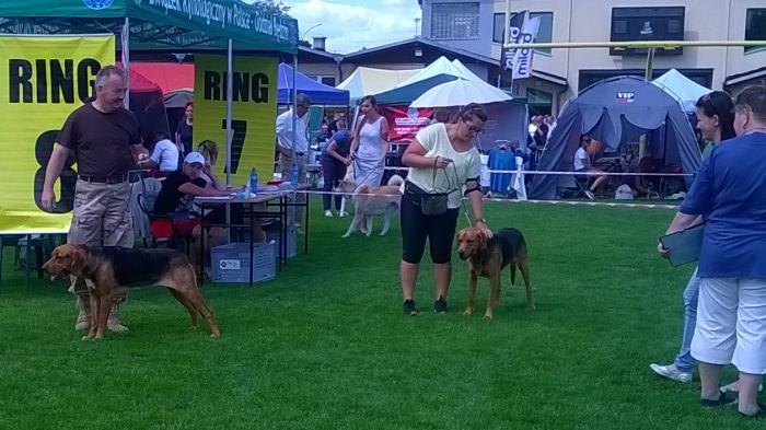WP_20170729_13_55_26_Pro.jpg