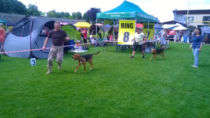 WP_20170729_13_55_30_Pro.jpg