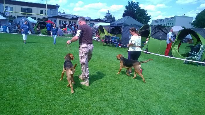 WP_20170729_13_56_00_Pro.jpg