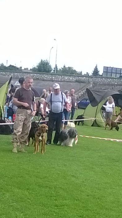 WP_20170729_16_32_11_Pro.jpg