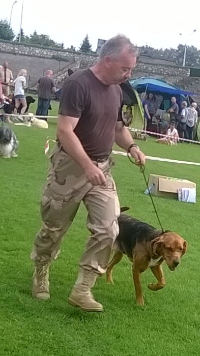 WP_20170729_16_32_20_Pro.jpg